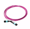 12 / 24 Fiber Singlemode Optical Fiber Jumper MTP/MPO Fiber Patch Cable