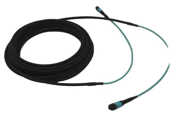 24 Core MPO MTP OM4 5.5MM Double Sheath Trunk Cable With 30cm Tail